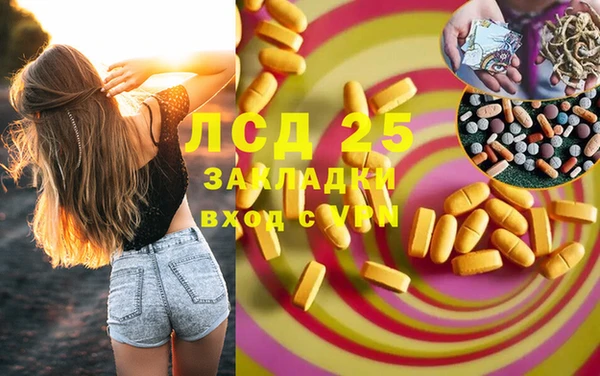 ГАЛЛЮЦИНОГЕННЫЕ ГРИБЫ Балабаново