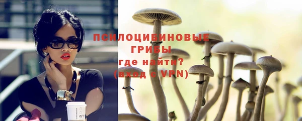 ALPHA-PVP Алексеевка