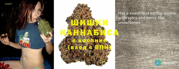 гидра Алзамай