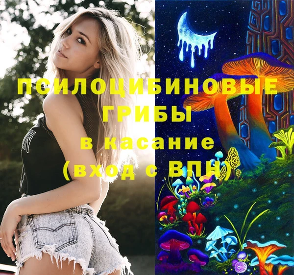 гидра Алзамай
